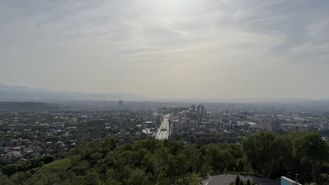 IMG 0256