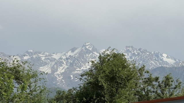 IMG 0260