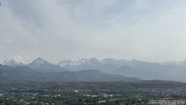 IMG 0262