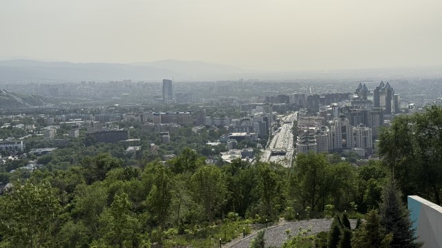IMG 0263