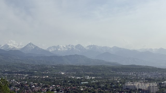 IMG 0266