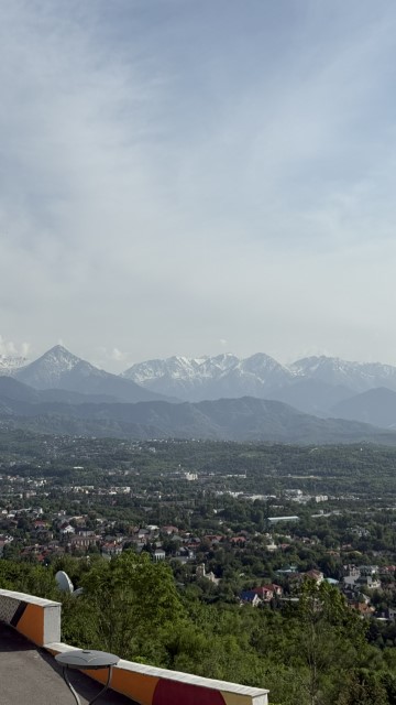 IMG 0268