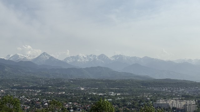 IMG 0269