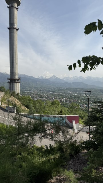 IMG 0273