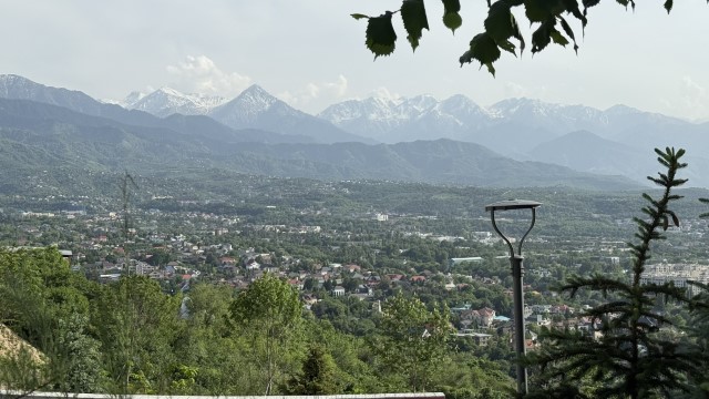 IMG 0276