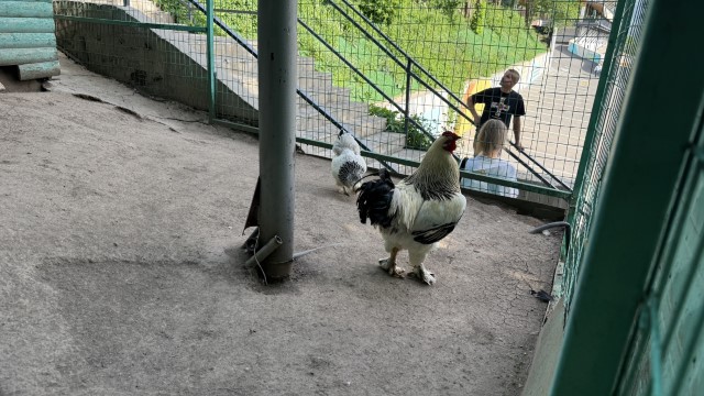 IMG 0280