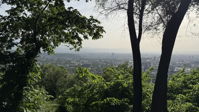 IMG 0285