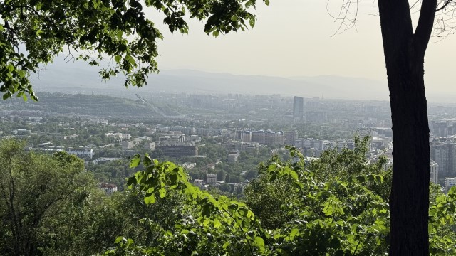 IMG 0286