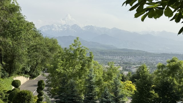 IMG 0288