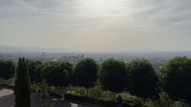 IMG 0292