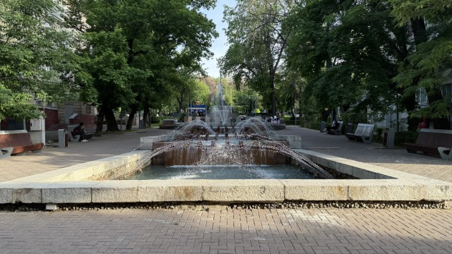 IMG 0310