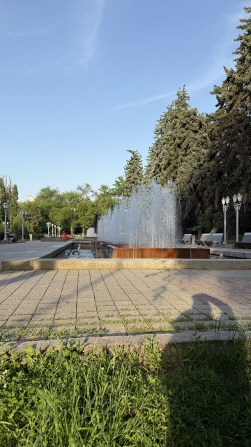 IMG 0345