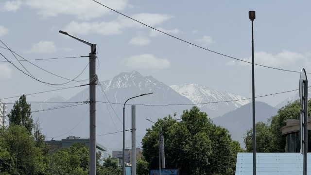 IMG 0635