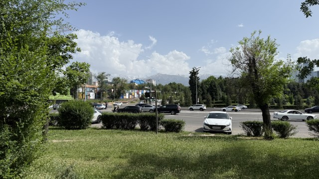 IMG 0652