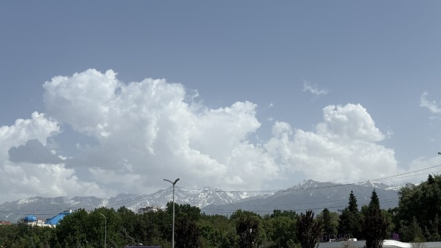 IMG 0656