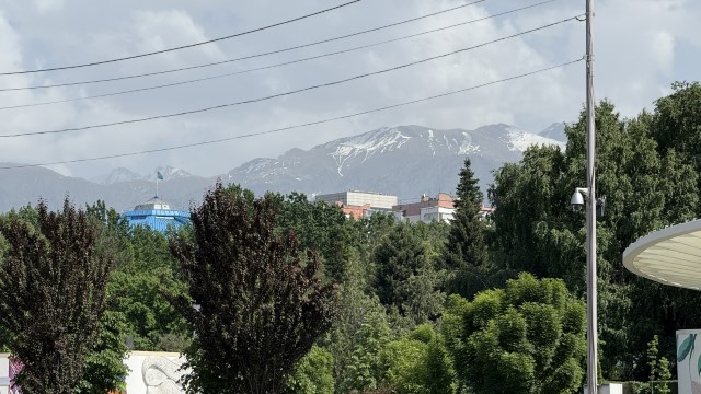 IMG 0674