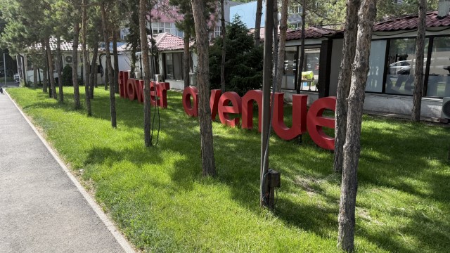 IMG 0688