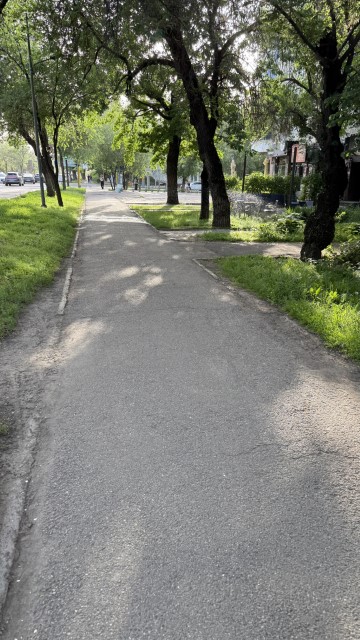 IMG 0692