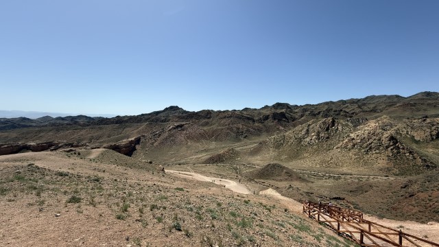 IMG 0361
