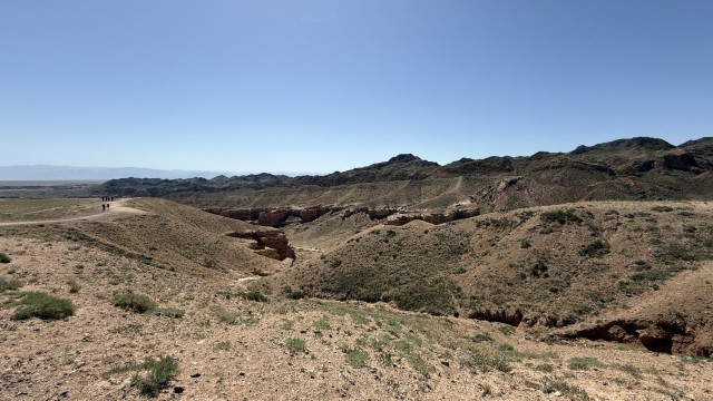 IMG 0367