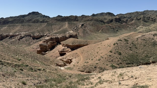 IMG 0368