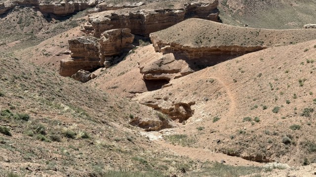 IMG 0369