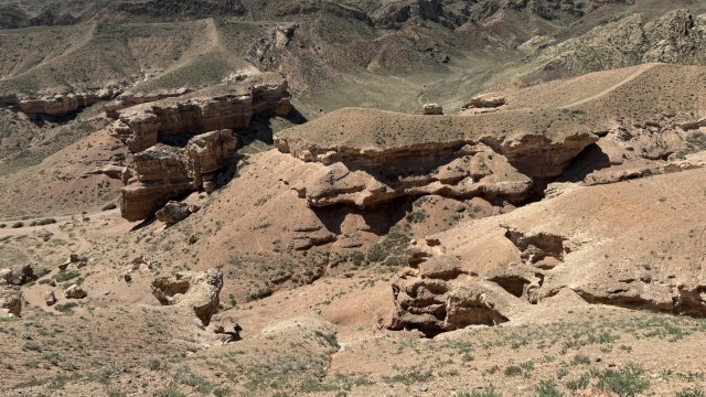 IMG 0371