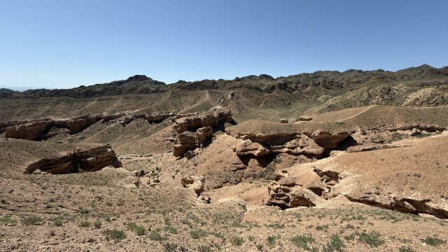 IMG 0373