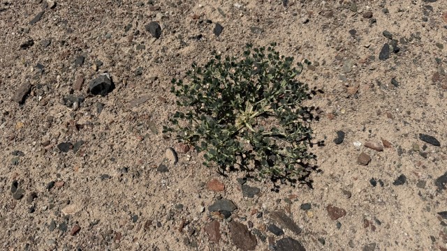 IMG 0376