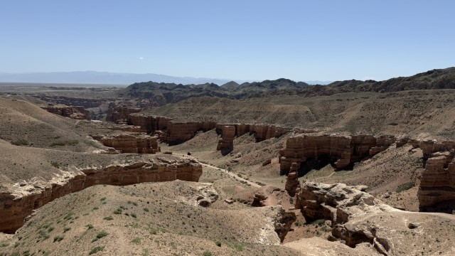 IMG 0386
