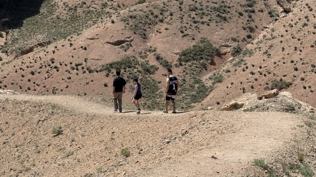IMG 0389