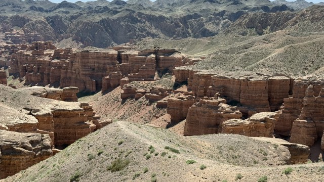 IMG 0400
