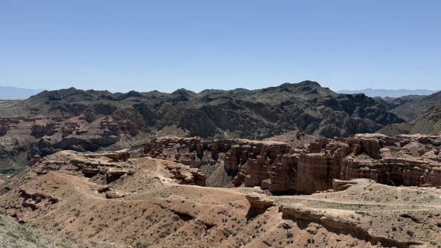 IMG 0413