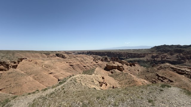 IMG 0416