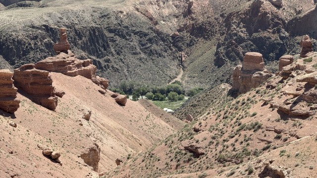 IMG 0420