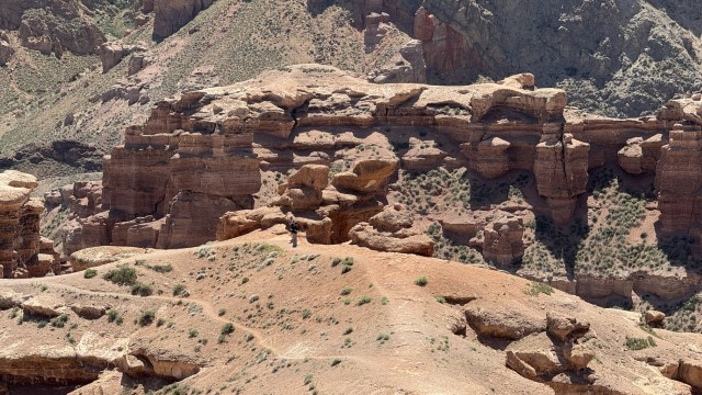 IMG 0425
