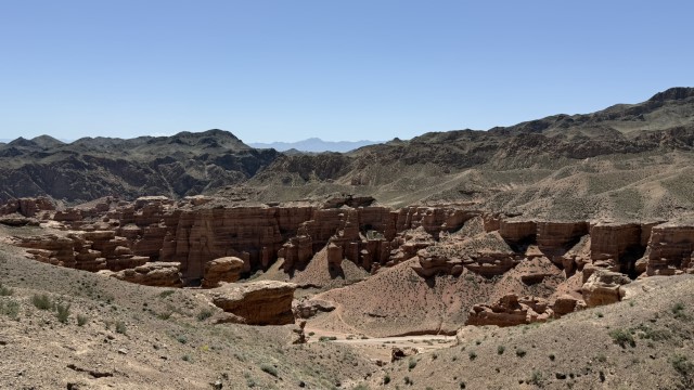 IMG 0427