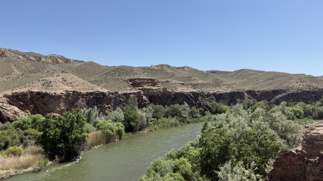 IMG 0432