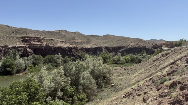 IMG 0433