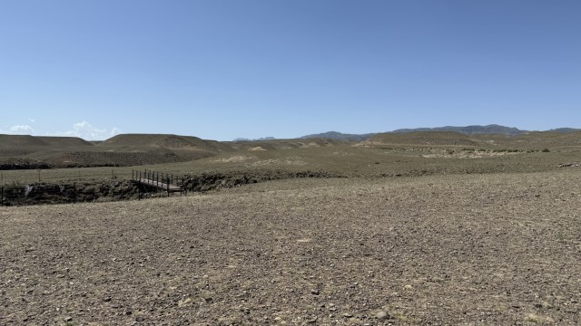 IMG 0449