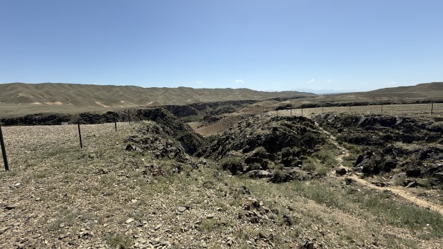 IMG 0456