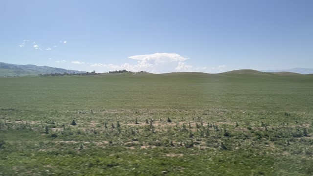 IMG 0461