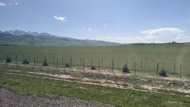 IMG 0462