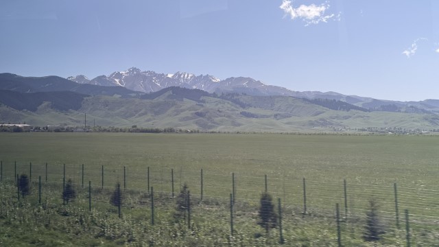 IMG 0463