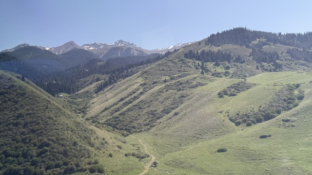 IMG 0465