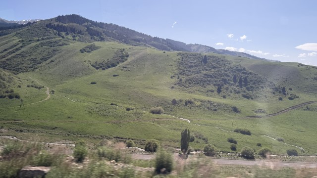 IMG 0467