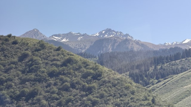IMG 0468