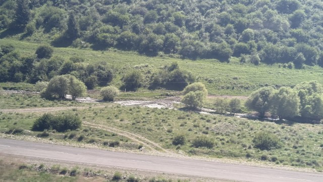 IMG 0469