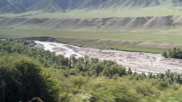 IMG 0475