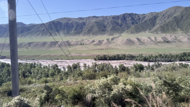 IMG 0476